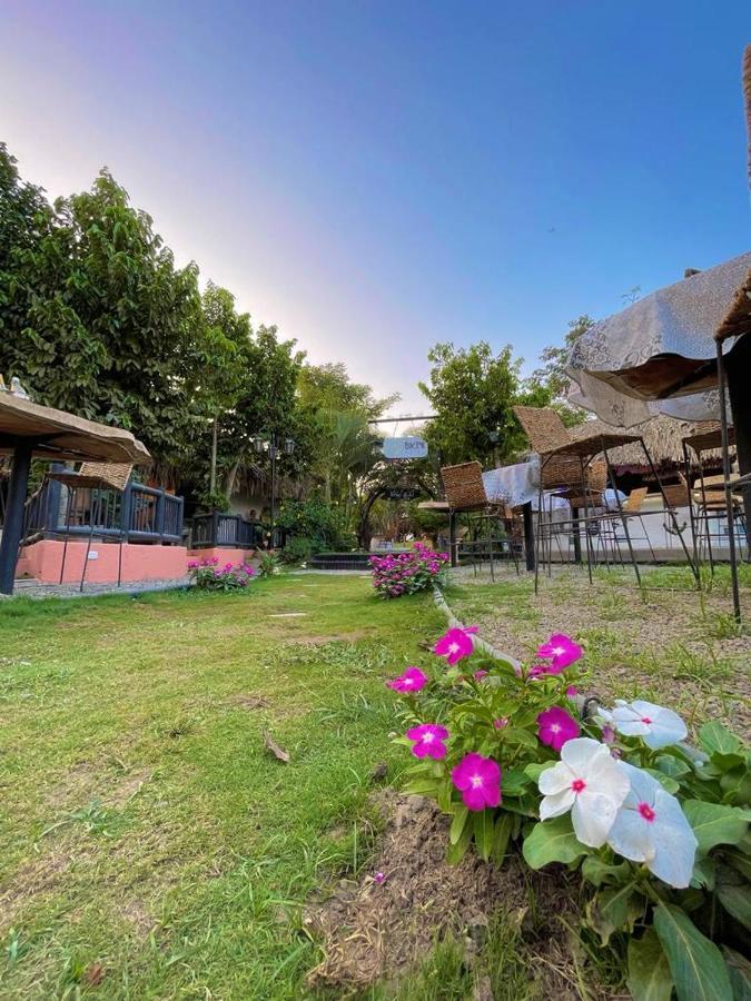 Bikini Hotel & Pool Паломино Екстериор снимка